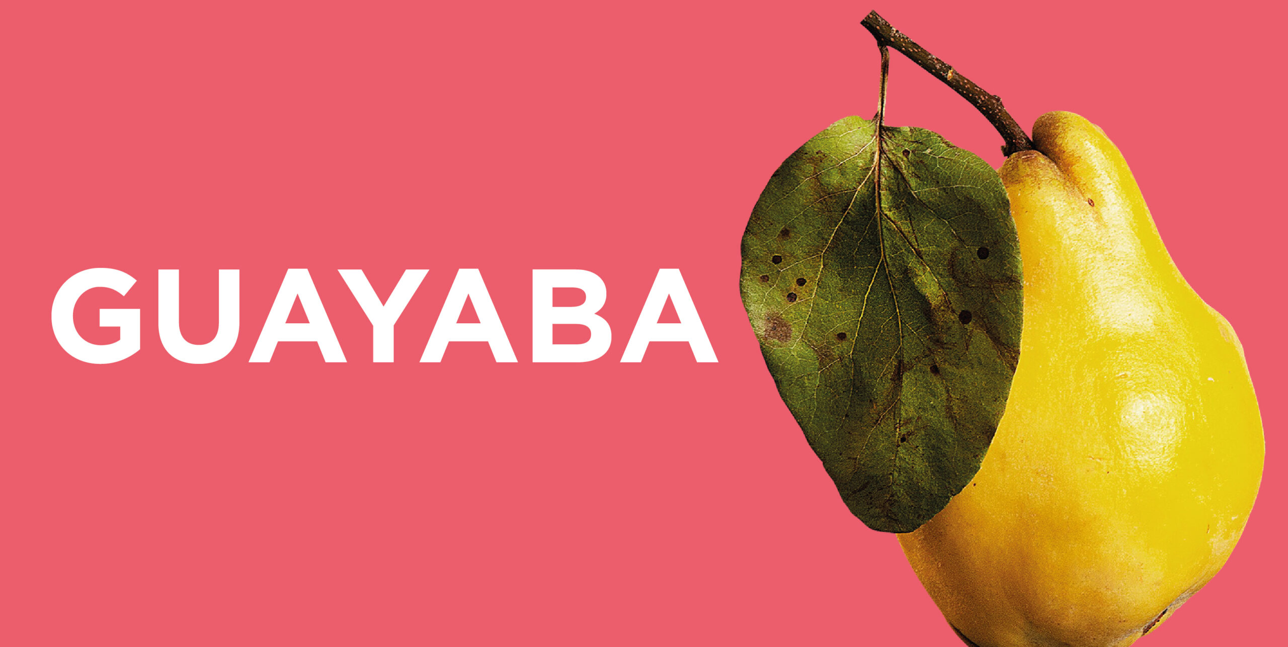 Bienestar AGUAKAN: Consume Productos Naturales, Guayaba