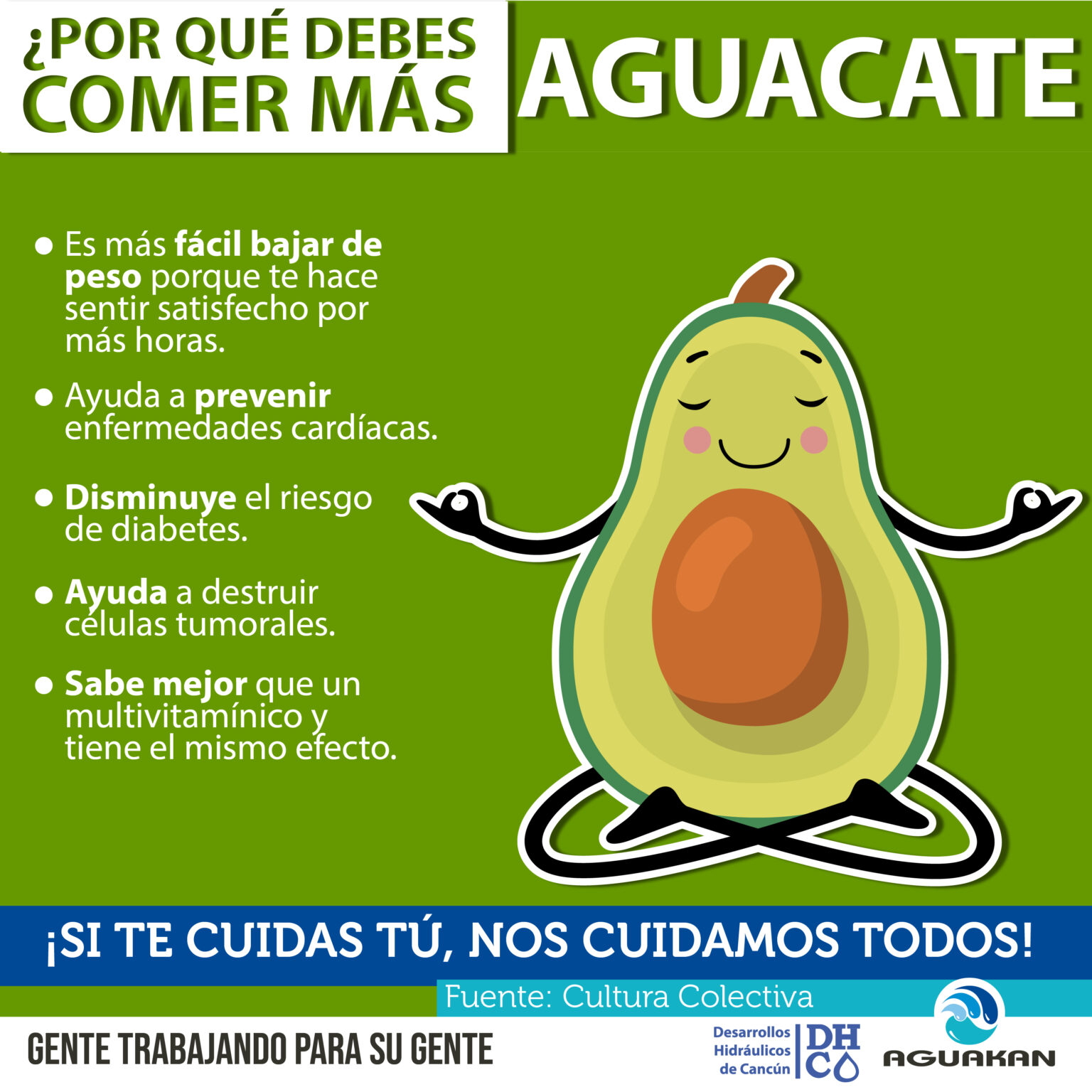 Bienestar Aguakan ¿por Qué Debes Comer Más Aguacate El Acontecer De Aguakan 7118