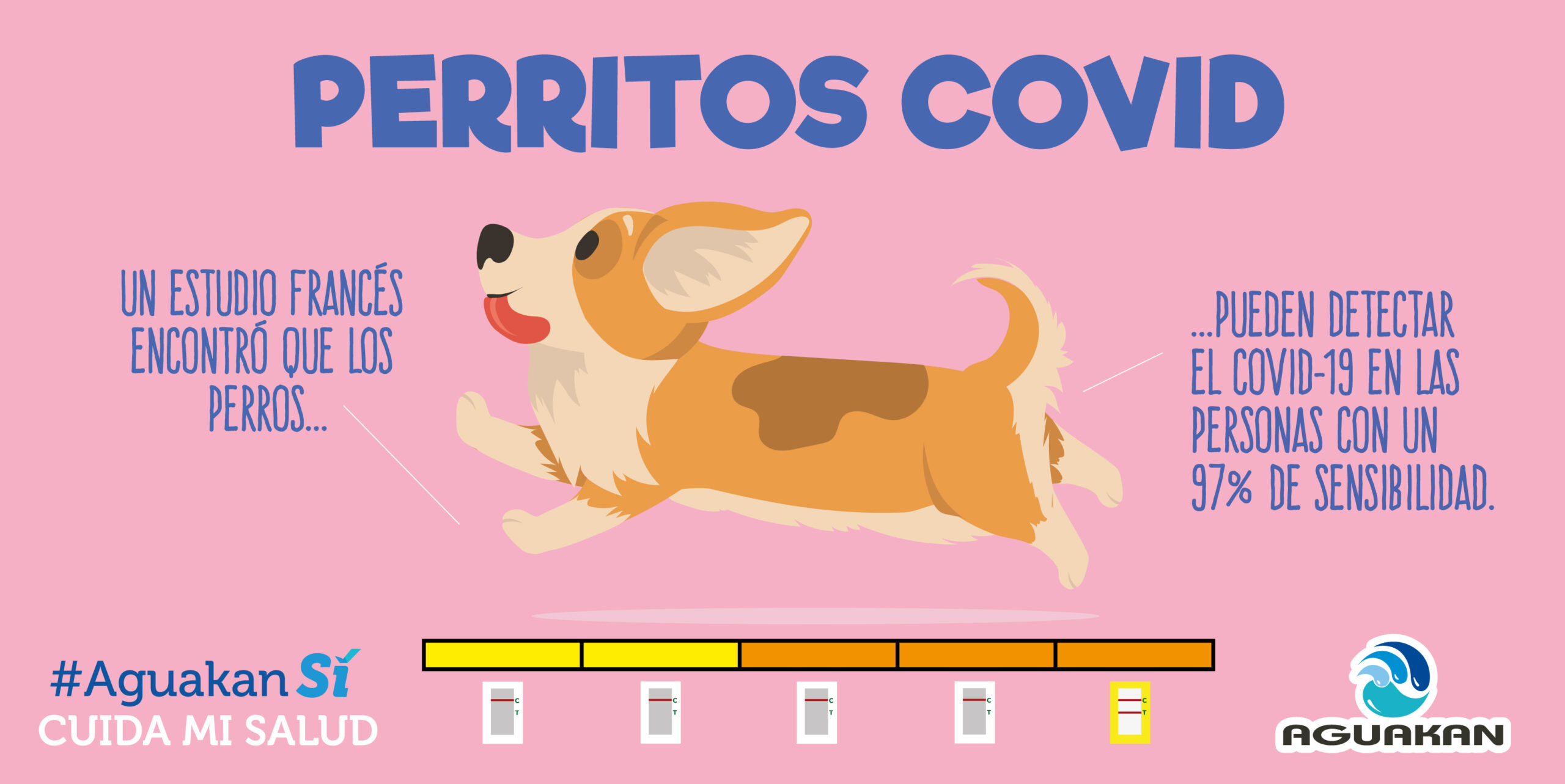 SEGURIDAD 360°: ¡PERRITOS COVID!