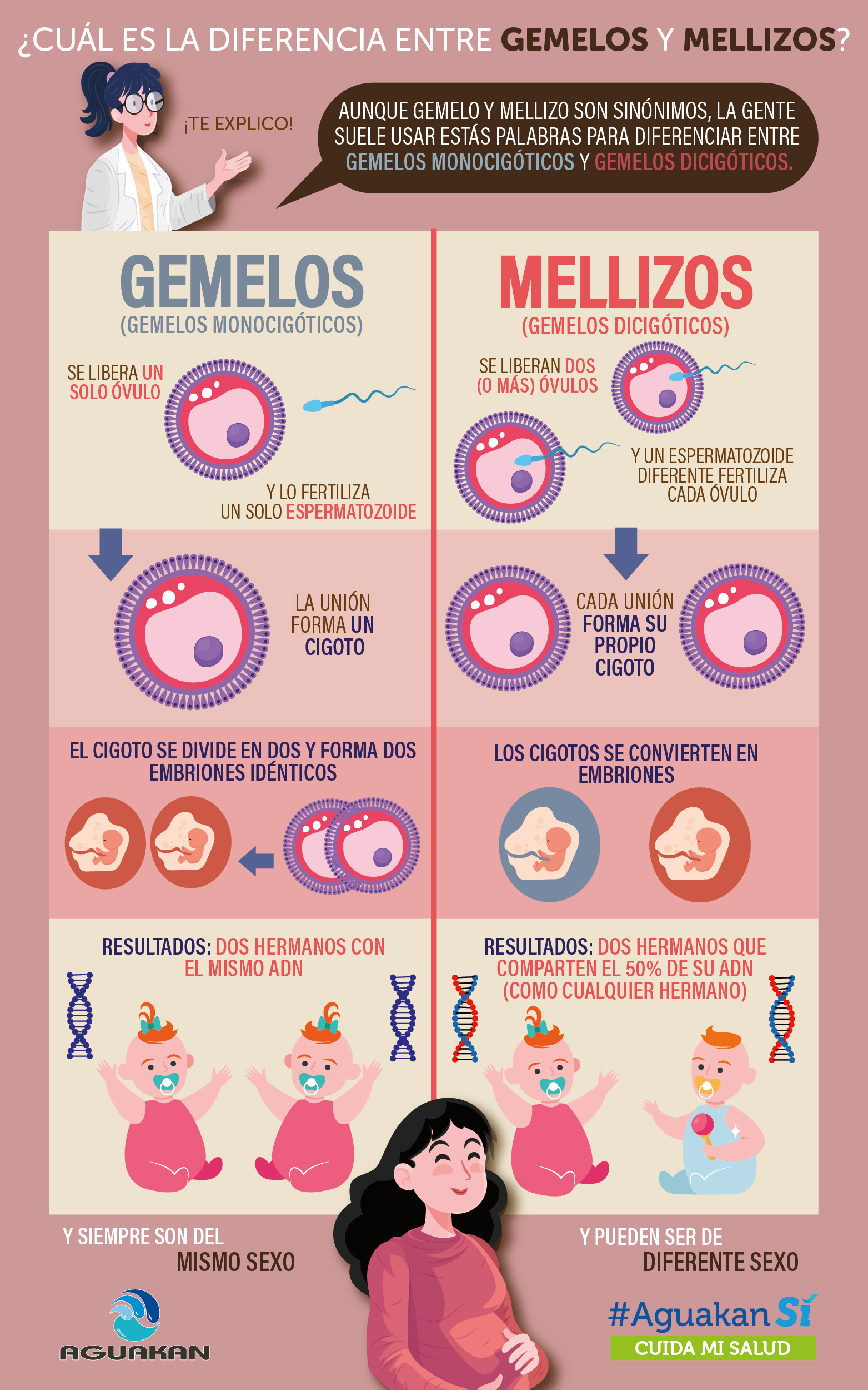 BIENESTAR AGUAKAN: ¡ DIFERENCIAS ENTRE GEMELOS Y MELLIZOS!